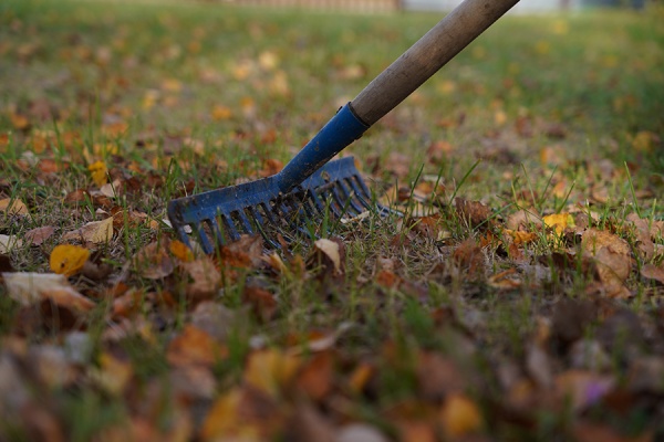 Второй субботник в Рязани собрал более 500 горожан