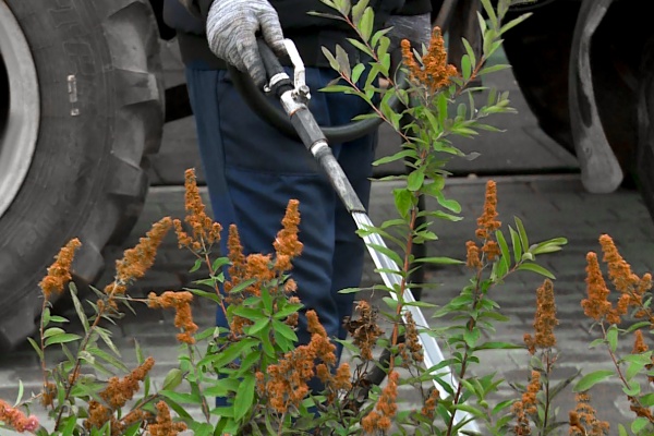 Рязанские школы и детсады присоединились к месячнику благоустройства 