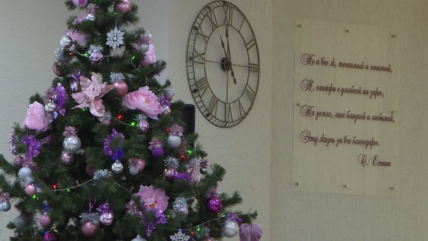 Рязанцам рассказали, как попасть на Губернаторскую ёлку