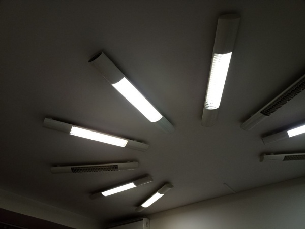 Завтра на 27 улицах Рязани отключат свет для обрезки деревьев