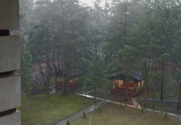 МЧС: Рязанскую область накрыл туман