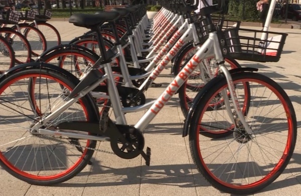 Велопарковки при школах оборудовали в Шацком районе