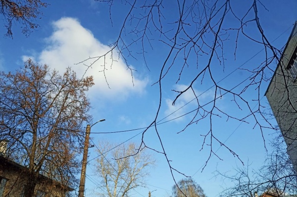До +10°С прогреется воздух в Рязанской области в День народного единства