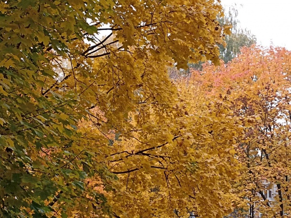 Завтра в регионе ожидается до +12°С