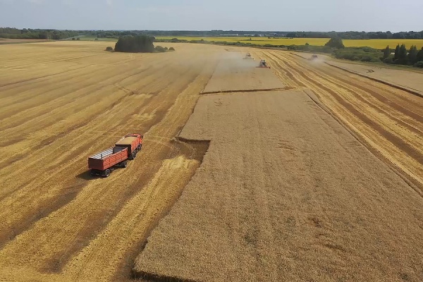 Уборочная страда завершается в Рязанской области с высокими показателями