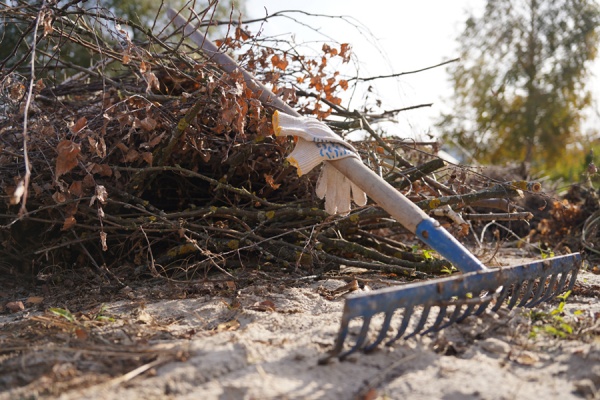 Губернатор: «Рязанцы принимают в акции «Вода России» самое активное участие»
