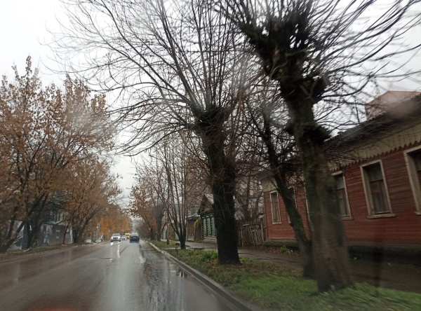 В регионе снова потеплеет до +10°С