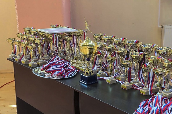 Рязанские тхэквондисты отличились на всероссийских соревнованиях