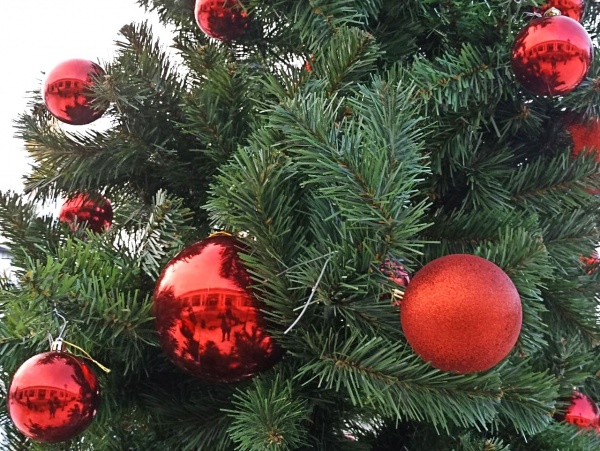 Начал работу сайт с расписанием новогодних событий в Рязани