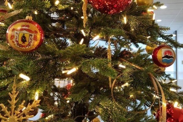 Главную елку Рязани установят за три дня