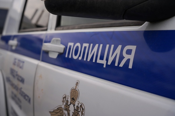 В Рязани задержали подростков, прыгавших на автомобиле ППС