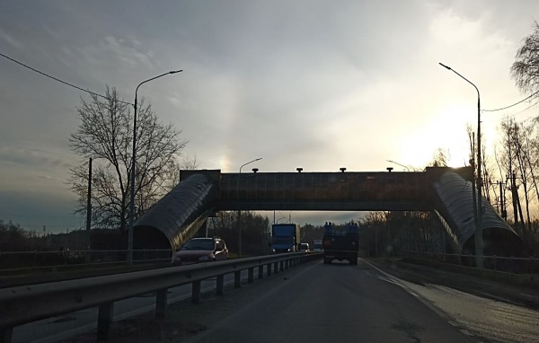 Завтра в Рязанской области ожидается до +6°С