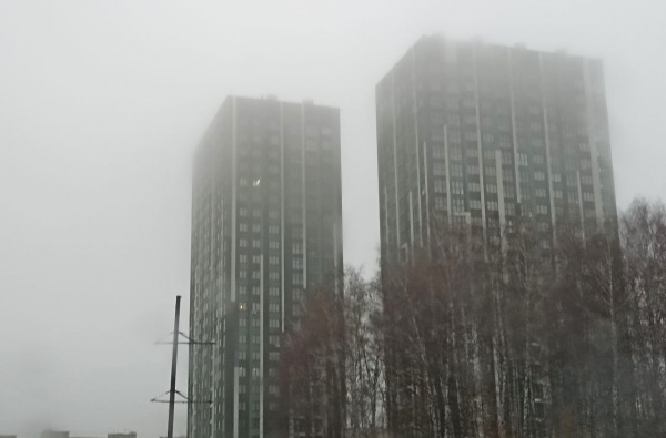 МЧС предупредило рязанцев о тумане