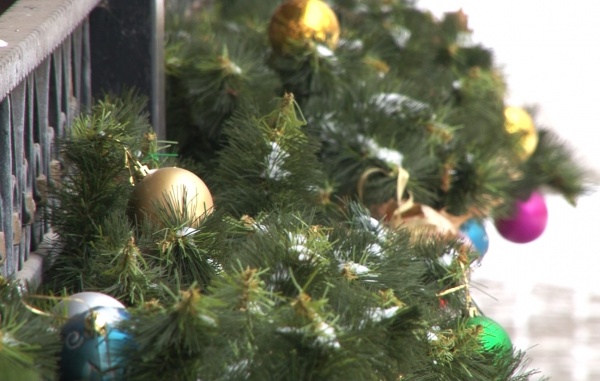 Новогодние праздники в Рязани откроет певица Bearwolf