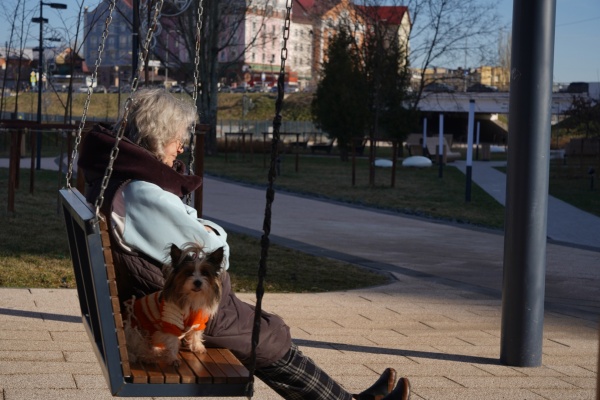 25 декабря в Спасске откроют новую ветстанцию 