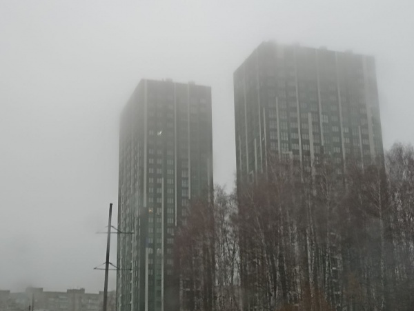 Рязанскую область вновь накроет туман