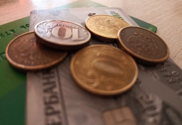 Рязаньстат рассказал, у кого в регионе самая высокая зарплата 