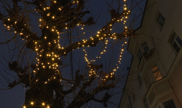 Пьяный касимовец оборвал новогоднюю гирлянду на входе в магазин