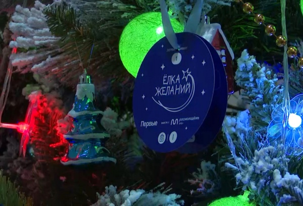 «Ёлка желаний» будет работать на Лыбедском бульваре