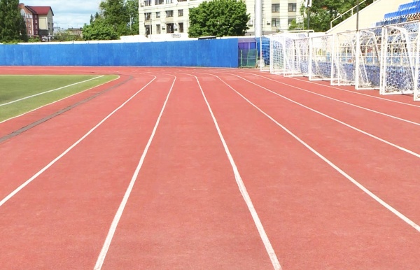 Рязанская область вошла в топ-10 регионов, где лучше всего развивается спорт