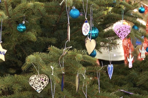 Житель Сараев подарил своему поселку 15-метровую новогоднюю ель