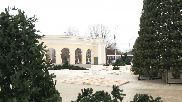 На Рязанской ВДНХ установят около 500 елок