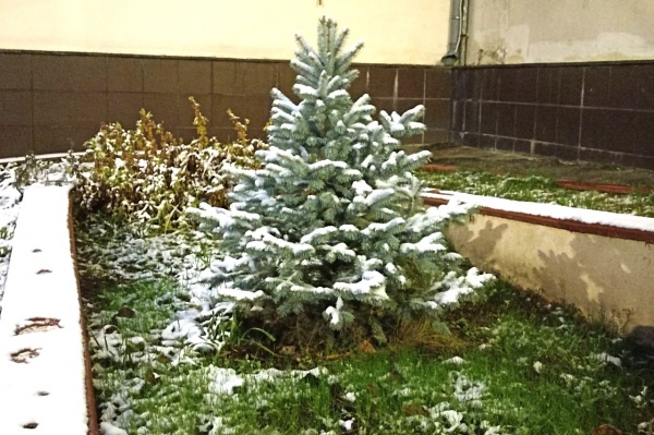 В четверг рязанцам обещают снег и сильный ветер