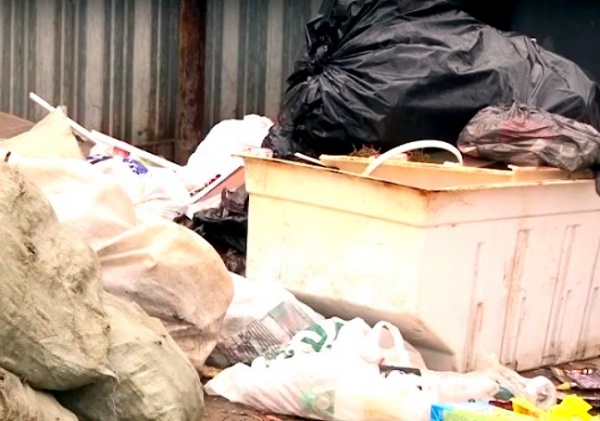 Жители Ряжска пожаловались Губернатору на проблему с мусором