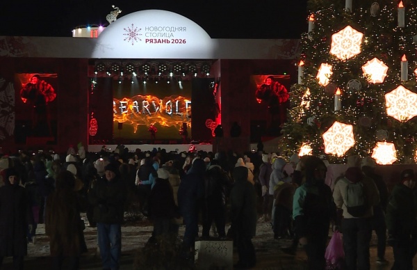 В новогоднюю ночь в Рязани будут дежурить около 300 сотрудников полиции