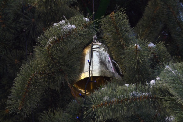 В Рязани стартовал прием благотворительных ёлочных украшений