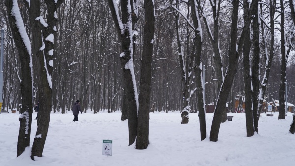 Перед праздниками в Рязанской области усилили охрану лесов