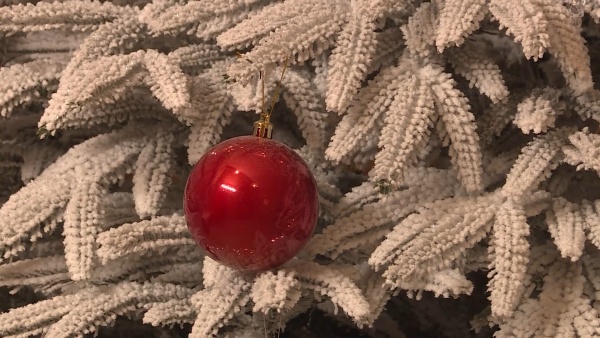 Рязанцев приглашают на выставку старинных новогодних украшений