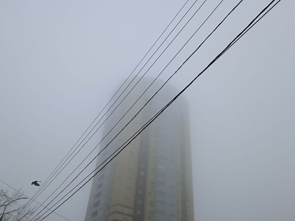 Водителей и пешеходов предупредили о тумане