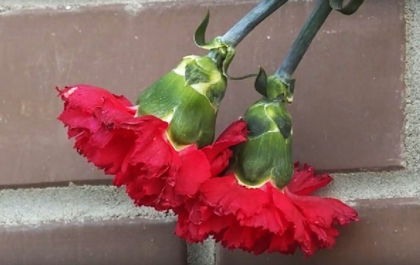 В Рязанской области ищут родных погибшего в 1944 году бойца 