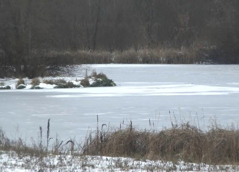 Тело мужчины подняли из реки в Рязанской области