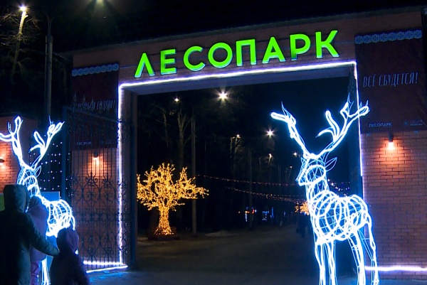 В Лесопарке пройдет новогодний костюмированный забег