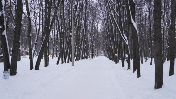 В Сараевском районе задержали браконьера, подозреваемого в отстреле лося