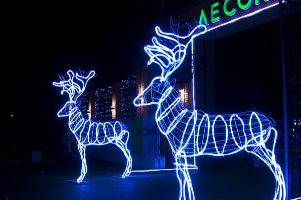 В Лесопарке пройдет торжественное открытие катка