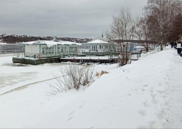 К утру пятницы снежный покров в Рязани вырастет на 10 см