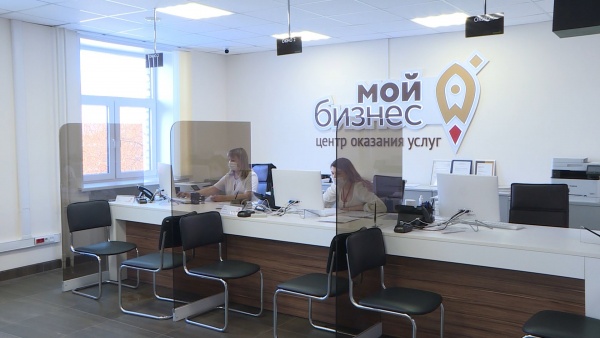 Самозанятые рязанцы могут бесплатно научится созданию сайтов в Интернете