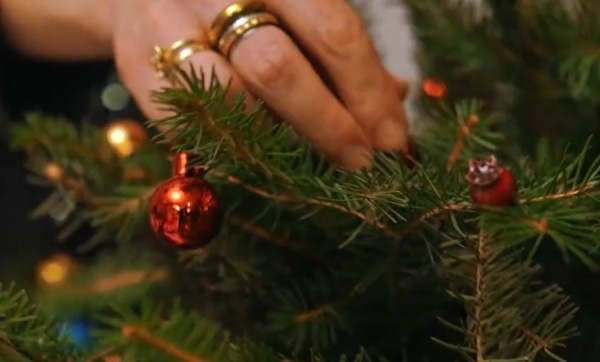 Программа «Рождественская сказка Циолковского», Ижевское, 6 января, 6+