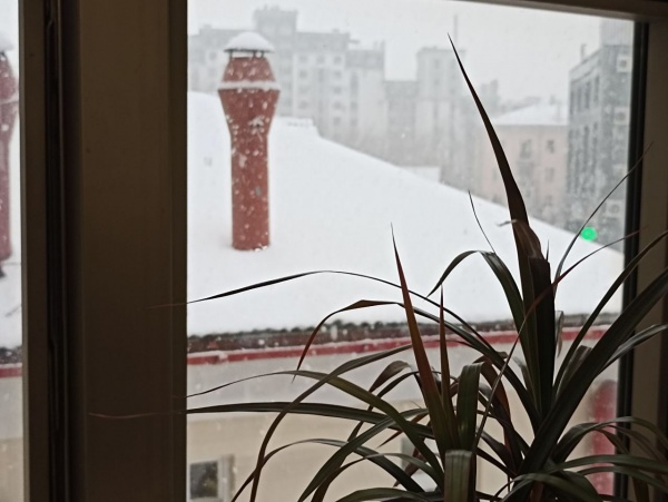 Завтра рязанцам обещают небольшой снег