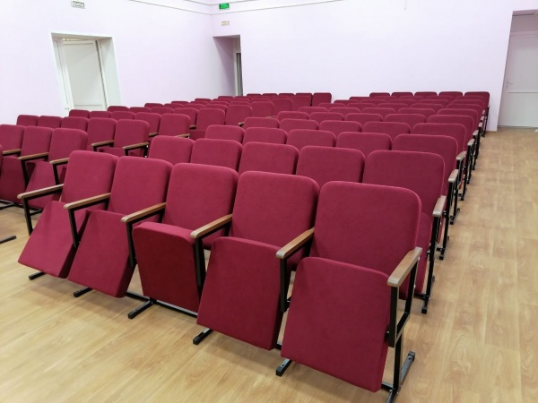 Вечер мультфильмов «Родное Рождество», Рязанский исторический музей, 11, 16, 17 января, 6+