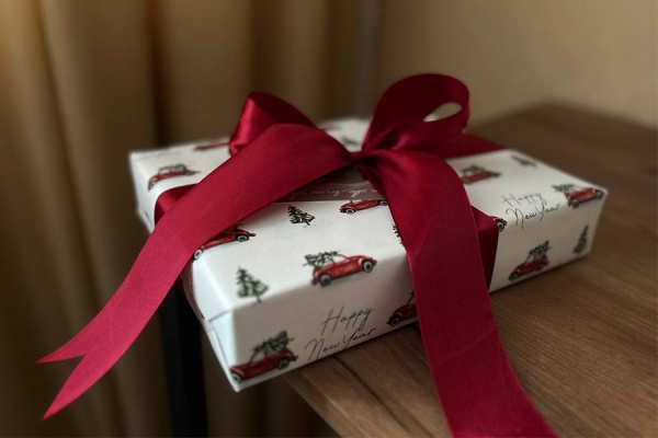 Павел Малков исполнил новогодние желания двух рязанских детей