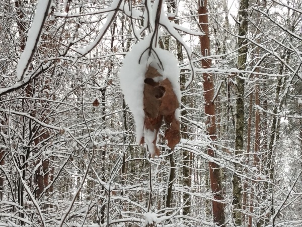 Завтра в регионе потеплеет до -4°С