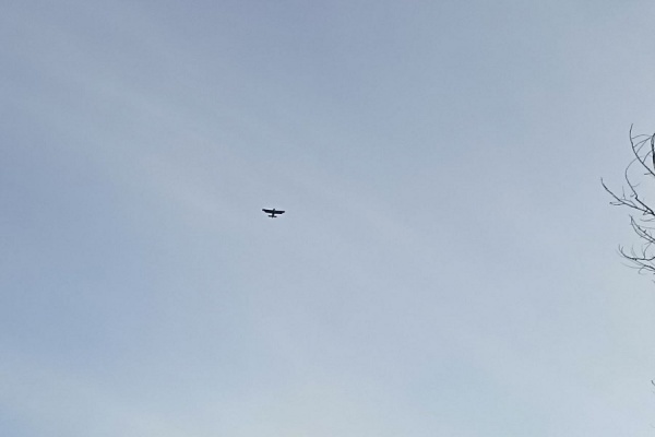 12 БПЛА сбито утром над территорией Рязанской области