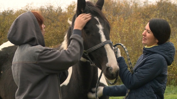 На Старожиловском конном заводе появился на свет первый в году жеребёнок