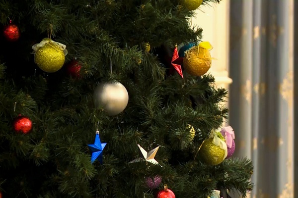 Скопинская ель борется за звание лучшей в России 