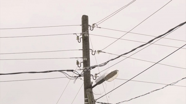 Солотча осталась без света из-за деревьев на проводах