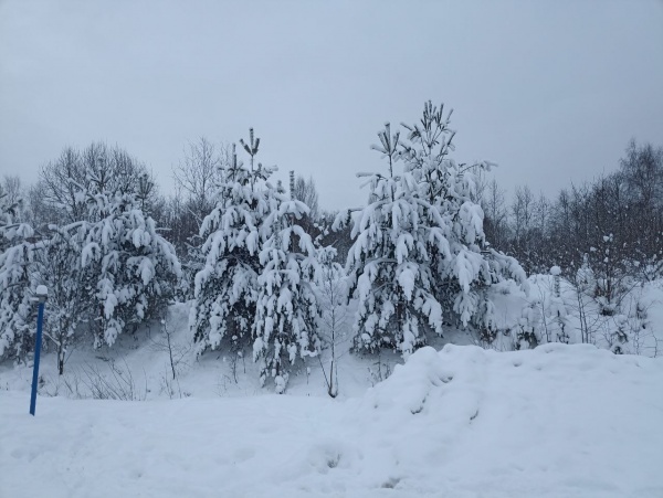 Жителей региона предупредили о резком похолодании